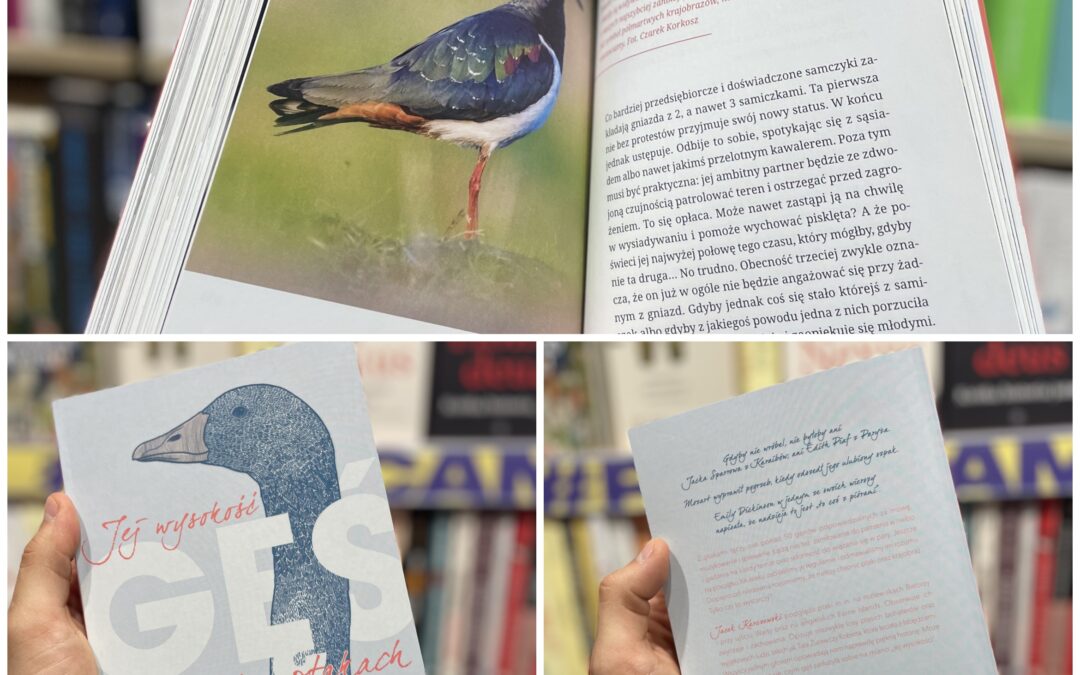 „Nie trzeba być Ornitologiem” czyli XII Spotkanie z przyrodą pt. „Zobacz  ptaka” w Miejskiej Bibliotece Publicznej