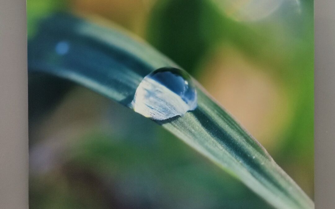 O „skupieniu” w zdjęciach Marcina Skupienia