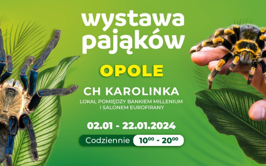 Wystawa Pająków