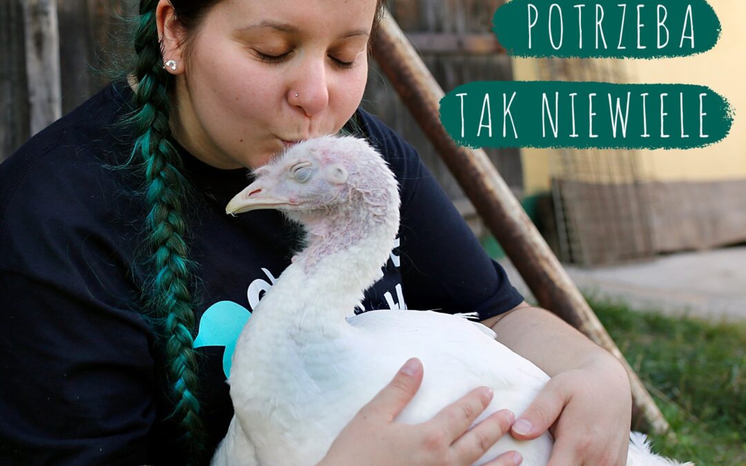 „Otwarte Klatki” otwarte na nowych ludzi