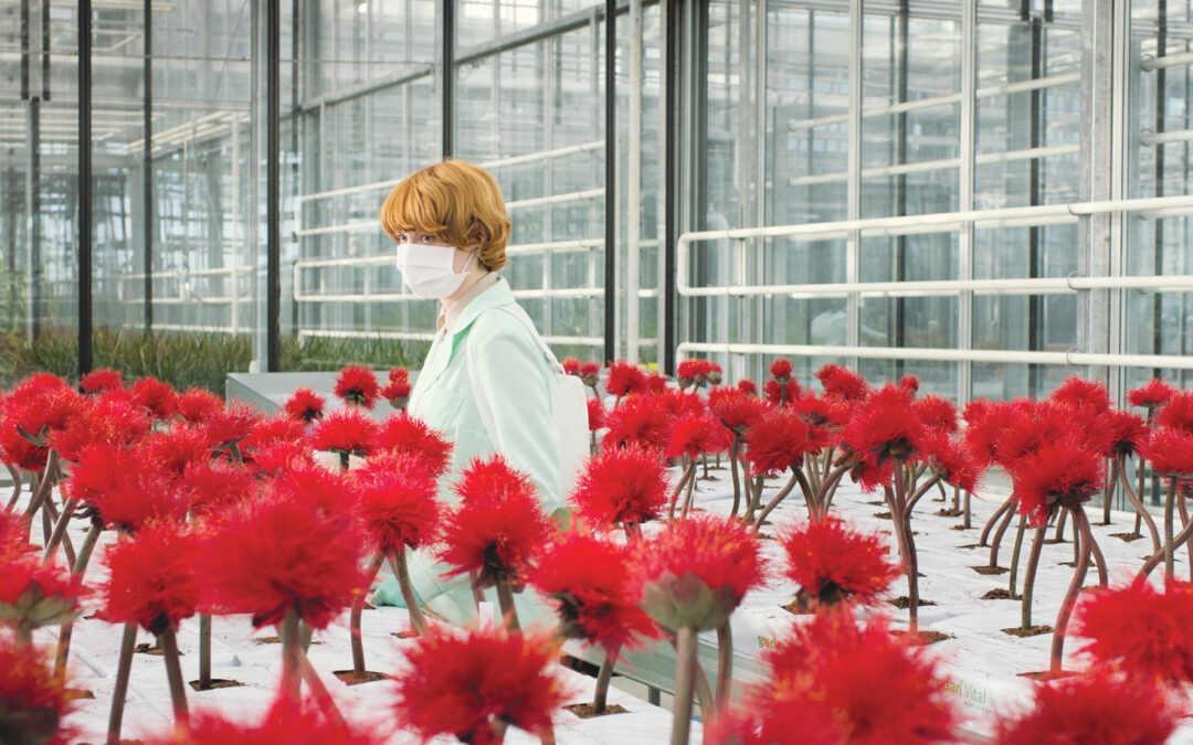 Szczęście zaklęte w kwiecie