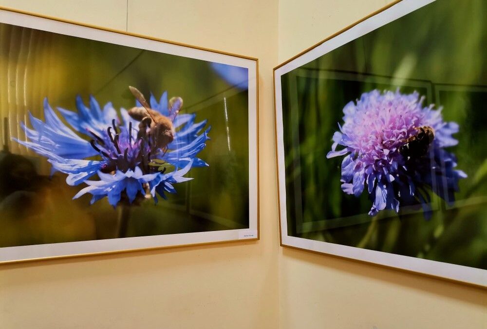 Niecodzienna wystawa “Razem” w Galerii WubePe