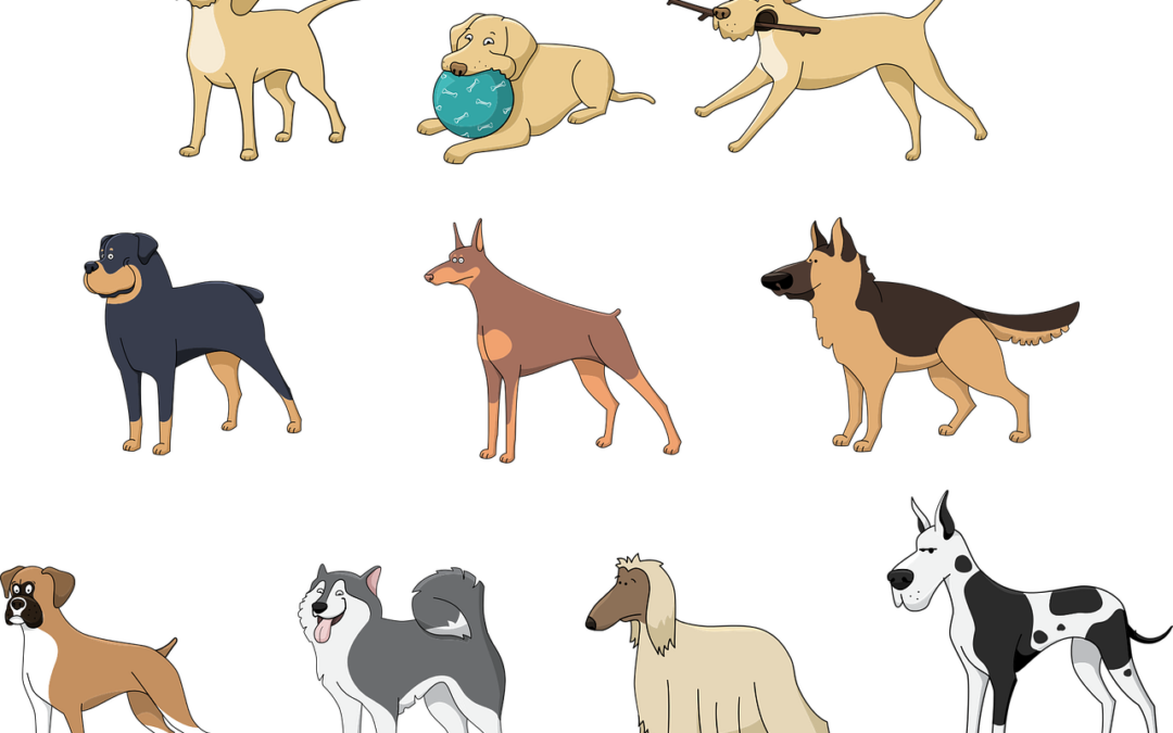 „Pomocoweczwartki” dla wielorasowych piesków