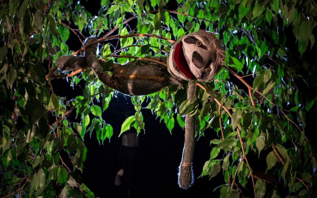 Życie oczami zagrożonych gatunków