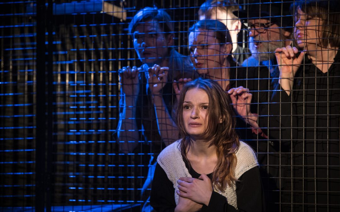 ,,Dziennik Anne Frank” – Opolski Teatr Lalki i Aktora poszerza grono swoich odbiorców.