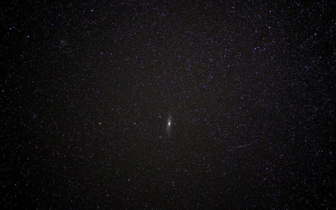 Nie patrz w górę – recenzja filmu